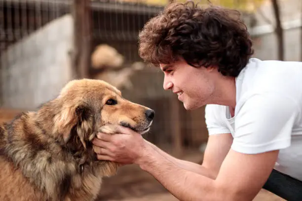 Side view of cheerful man with curly hair caressing furry dog while working as volunteer in animal shelter