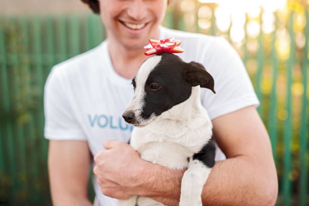 istock Crop happy man holding dog with bow 1316709722