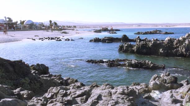 istock Landscape and rocky beach at Caldera beach in Chile 1316710187