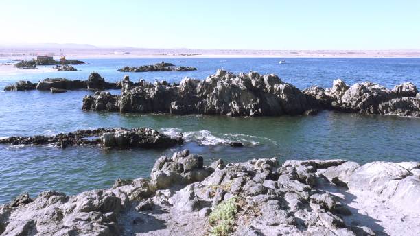 istock Landscape and rocky beach at Caldera beach in Chile 1316710199