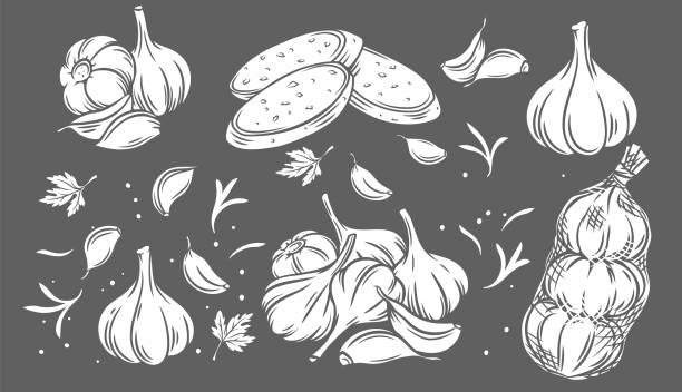 Garlic glyph black on white icon set Garlic glyph black on white icon set. Pile of garlic bulbs, in net bag and runchy garlic bread. Vector illustration of vegetables. bread silhouettes stock illustrations