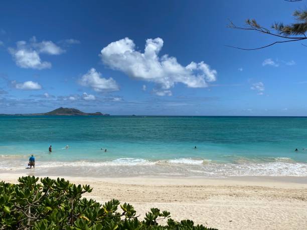 istock Waimanalo beach 1316713234