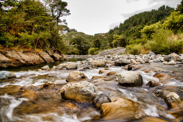 istock Waingawa river Rapids, Mount Holdsworth Wairarapa 1316714310