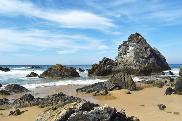 istock Camel Rock beach in Bermagui NSW 1316719704