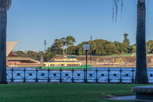 istock passenger ferry on Sydney harbour NSW Australia 1316720374