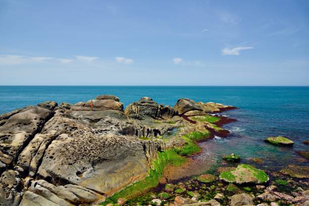 istock Bitou Cape Fishing Port harbor style. 1316720654