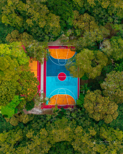 Basketball court Basketball court in the midst of nature sao bernardo do campo stock pictures, royalty-free photos & images