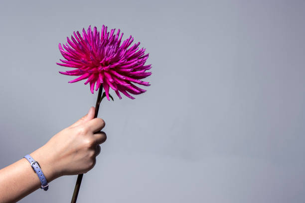 istock A child holds flower 1316723105