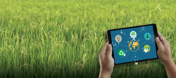istock agriculture technology concept man Agronomist Using a Tablet in an Agriculture Field read a report integrate artificial intelligence machine learning technology  5G 1316723865
