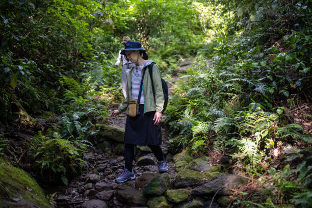 amigas japonesas caminhando na floresta - kamakura japan tourist people - fotografias e filmes do acervo