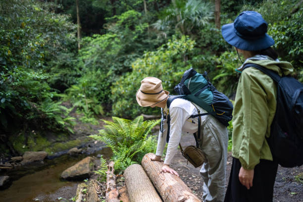 istock Japanese female friends taking a break on log in forest 1316727077