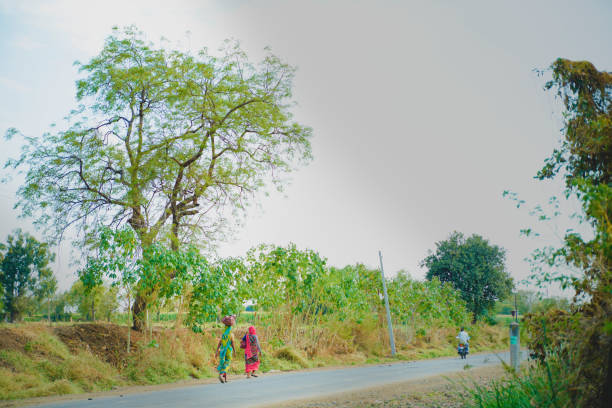 young girl wearing headphones walking on dirt road,rear view.