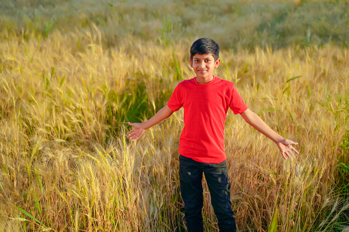 young indian child playing at wheat field, Rural India