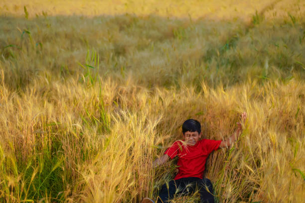 young indian child playing at wheat field, Rural India