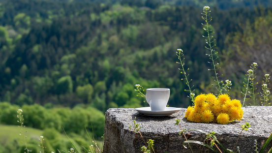 Summer morning among nature outdoor while travel, vacation or weekend getaway. Coffee cup and bouquet of yellow dandelions on blurred background of mountains. Slow down, simple rural life. Copy space