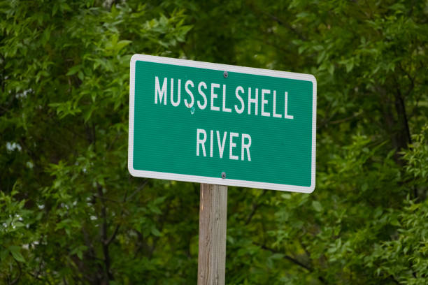 istock Road sign identifying river passing under roadway. 1316729186