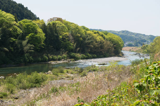 istock Yoshino River in Nara 1316730017