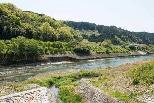 istock Yoshino River in Nara 1316730045