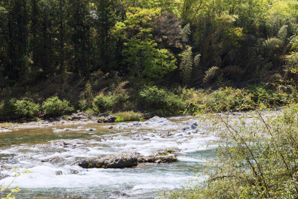 istock Yoshino River in Nara 1316730104