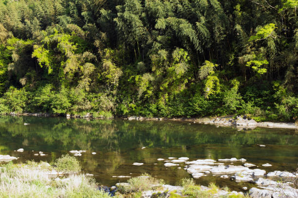 istock Yoshino River in Nara 1316730294