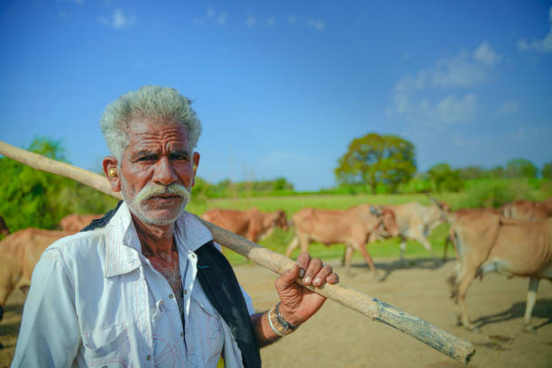 istock young indian farmer with his cattle 1316731436
