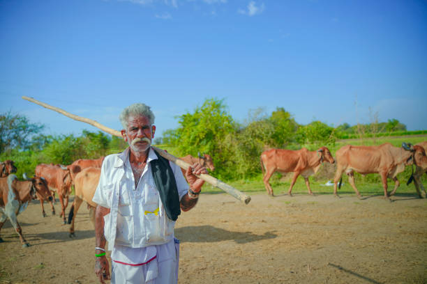 istock young indian farmer with his cattle 1316731926