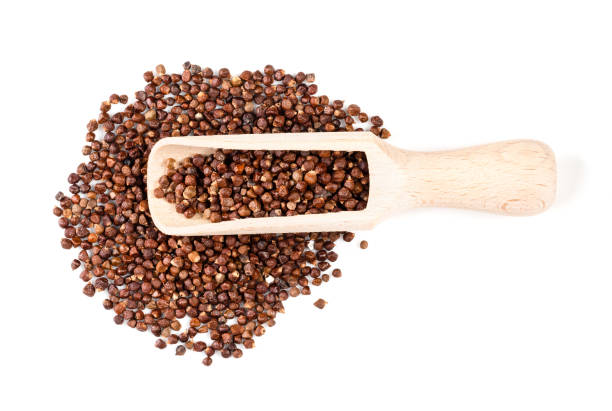 istock scoop on grains of paradise pepper on white 1316733058