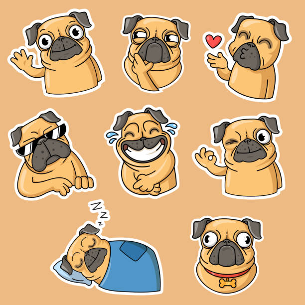 Funny pug flat stickers collection Funny pug flat stickers collection. Adorable pug dog cartoon character in different poses isolated vector illustrations for t-shirts. Animal sketch and mascot concept pug stock illustrations