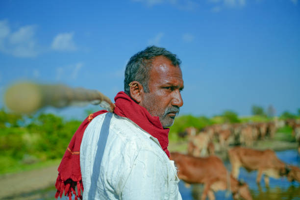 istock young indian farmer with his cattle 1316733948