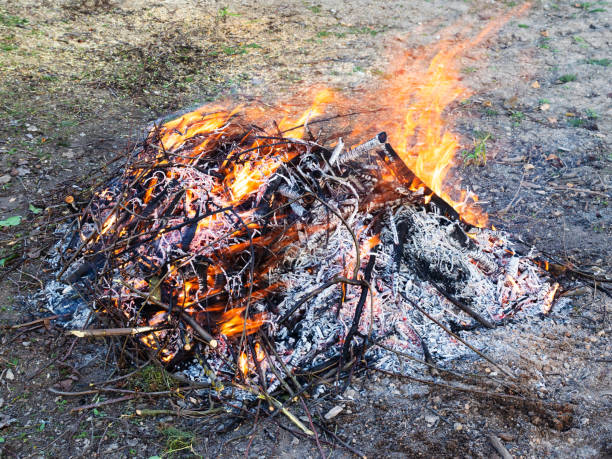 istock freshly pruned branches are burning at garden 1316734295