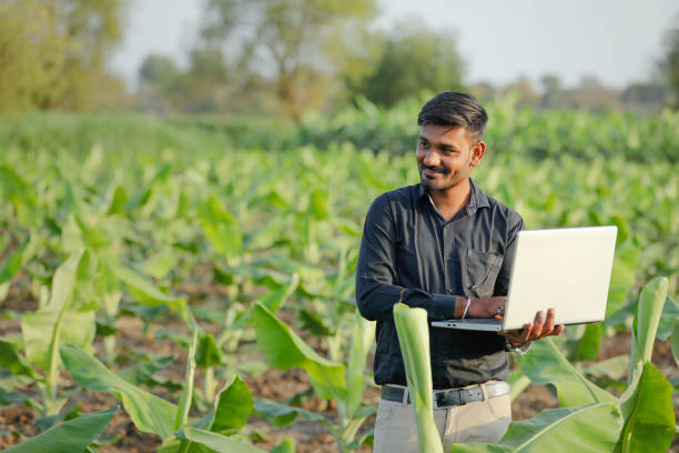 istock young indian agronomist examining the field 1316735206