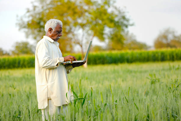 istock young indian farmer using laptop at wheat field 1316735296