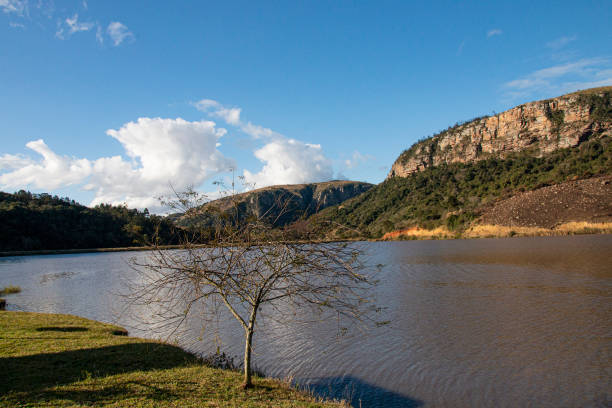 Natural dam surounded by hills and local vegetation