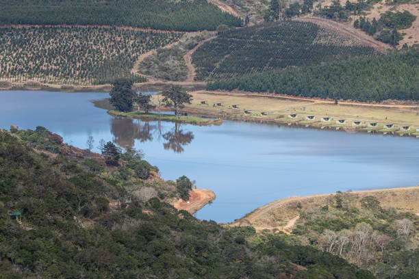 istock Water Reservoir Surrounded by Natural Rural Vegetation 1316735346