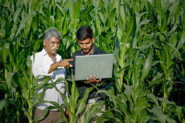 istock young indian farmer with agronomist at corn field 1316736266