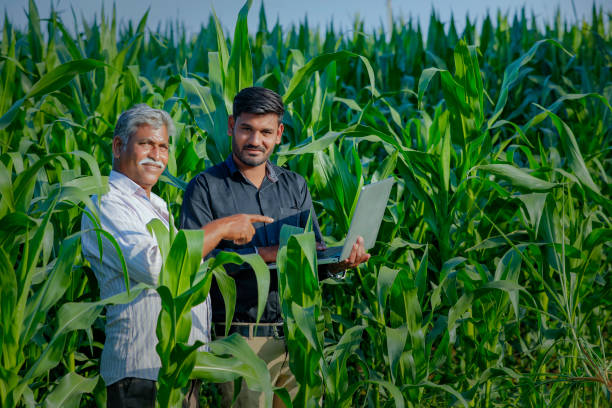 istock young indian farmer with agronomist at corn field 1316736377