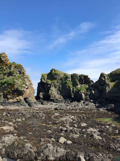 istock Cape Evstafiya, Sakhalin, sea, mountains, rocks 1316739691