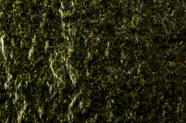 istock Japanese dried laver. Roasted seaweed background or texture 1316740749