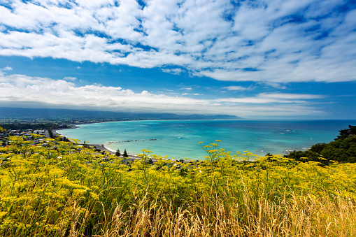 This January 2019 image shows the town of Kaikōura in Aotearoa New Zealand. The turquoise waters of the Pacific Ocean are visible.