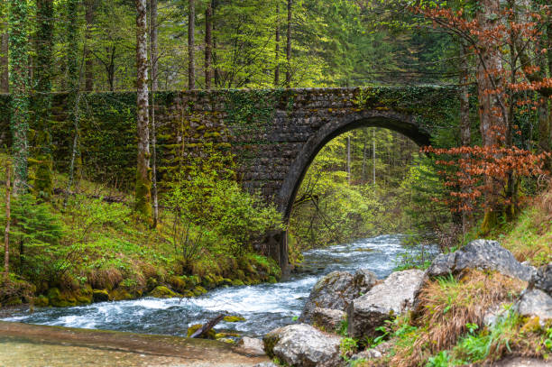 istock Bridge Over The Kamniska Bistrica River 1316747674