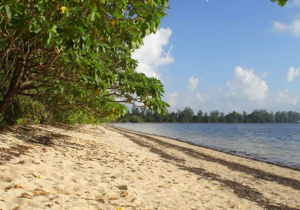 Orange Beach in Peleliu, Palau is where the first US invasion forces landed on September 15, 1944. Orange Beach in Peleliu, Palau is where the first US invasion forces landed on September 15, 1944. palau beach stock pictures, royalty-free photos & images