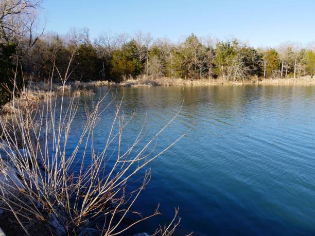 Scenic view of Lake Murray framed by dried twigs at Lake Murray State Park in Oklahoma. Scenic view of Lake Murray framed by dried twigs at Lake Murray State Park in Oklahoma. lake murray stock pictures, royalty-free photos & images