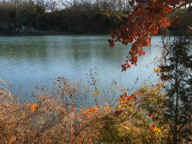 lake murray framed by colorful trees in autumn, lake murray state park in oklahoma. - lake murray imagens e fotografias de stock