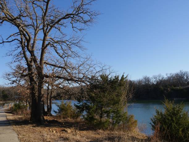 lago murray enmarcado por árboles, lake murray state park en oklahoma. - lake murray fotografías e imágenes de stock