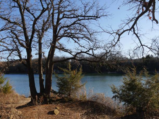 vista panorámica del lago murray enmarcado por árboles, lake murray state park en oklahoma. - lake murray fotografías e imágenes de stock