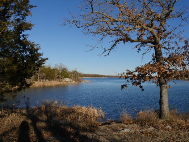 beautiful view of lake murray framed by trees in autumn, lake murray state park in oklahoma. - lake murray imagens e fotografias de stock