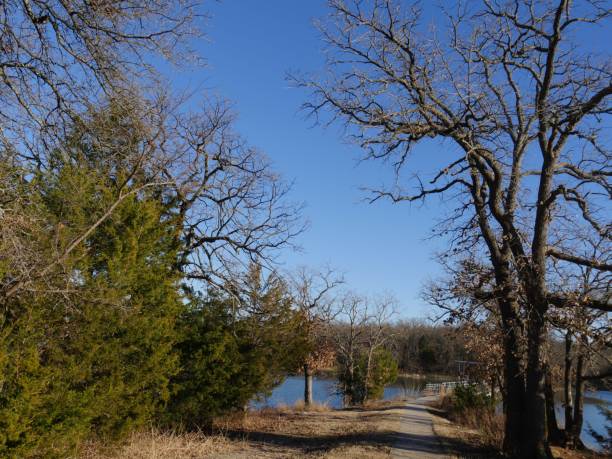 istock Lake Murray framed by trees, Lake Murray State Park. 1316752289