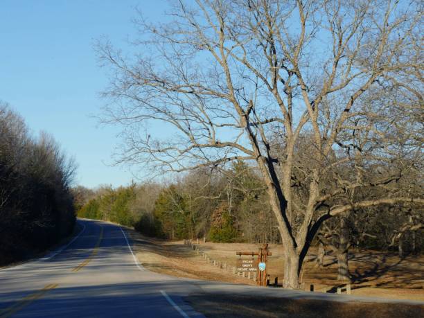 carretera pavimentada con árboles sin hojas en invierno - lake murray fotografías e imágenes de stock