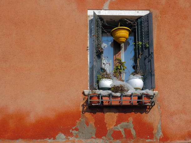 istock Picturesque window with potted plants. 1316753215