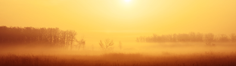 Sunrise and fog over plants autumn landscape panoramic banner.
